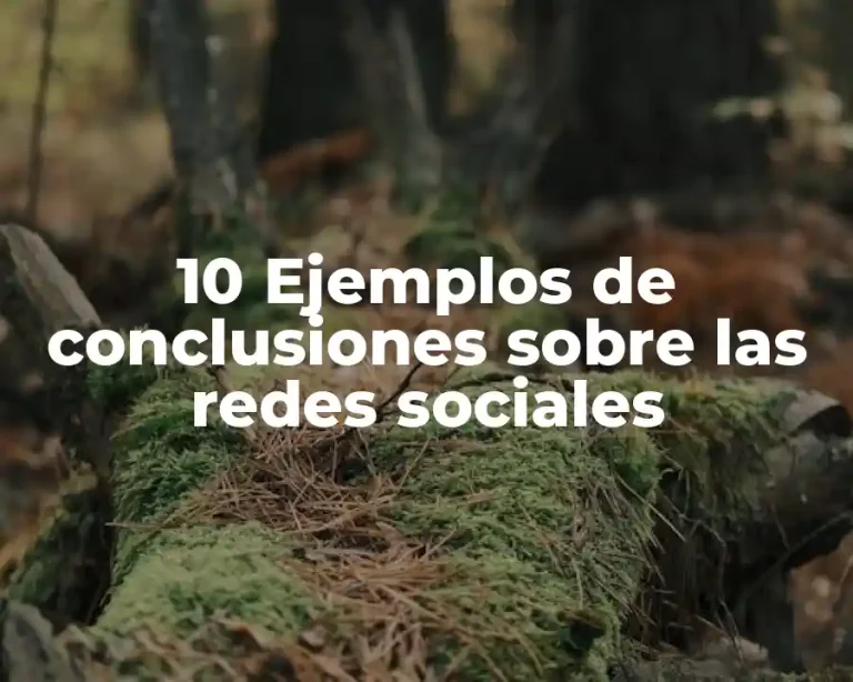 10 Ejemplos de conclusiones sobre las redes sociales