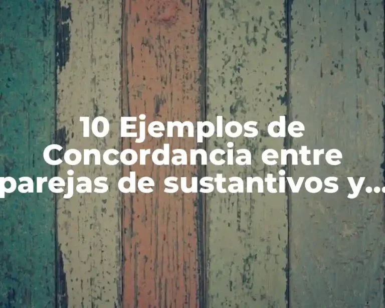 10 Ejemplos de Concordancia entre parejas de sustantivos y adjetivos