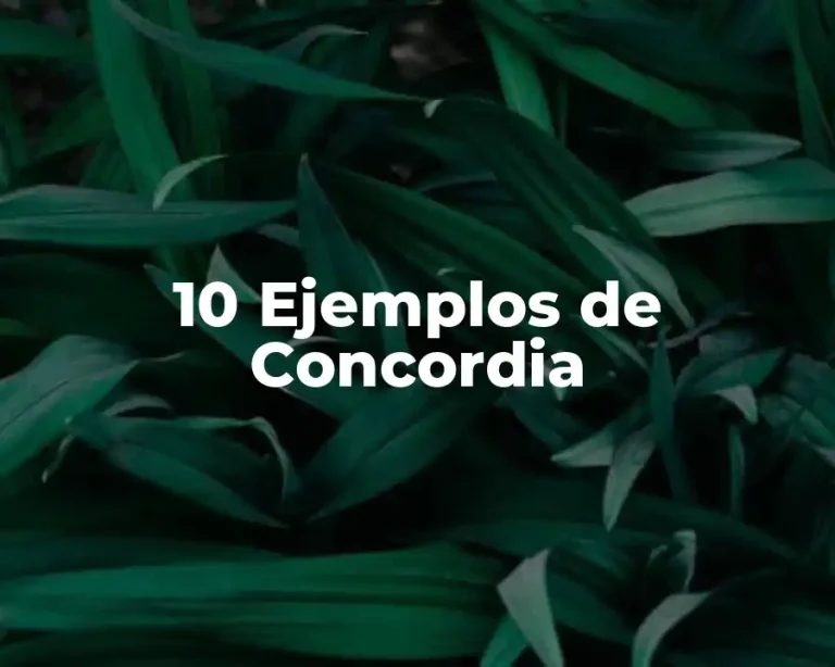 10 Ejemplos de Concordia
