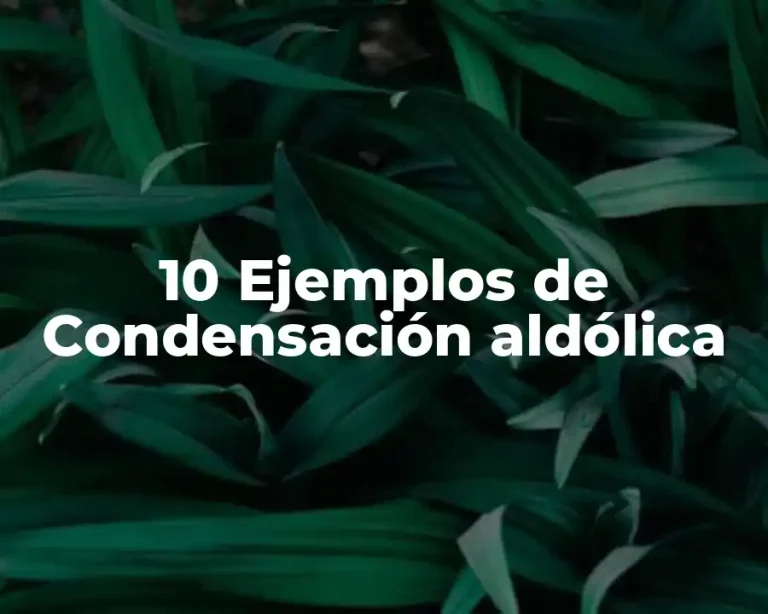 10 Ejemplos de Condensación aldólica