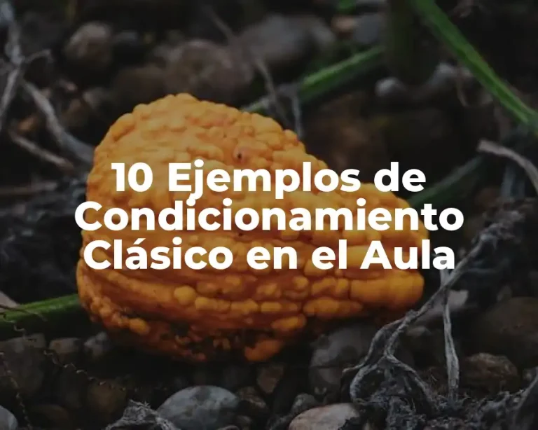 10 Ejemplos de Condicionamiento Clásico en el Aula
