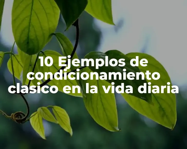 10 Ejemplos de condicionamiento clasico en la vida diaria