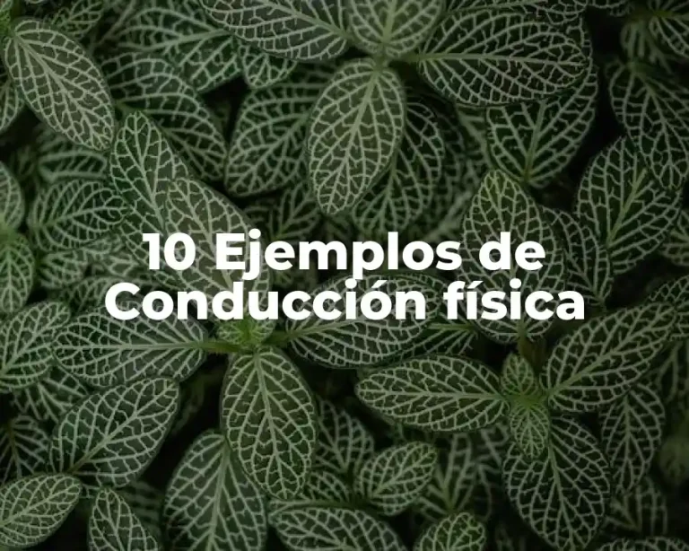 10 Ejemplos de Conducción física