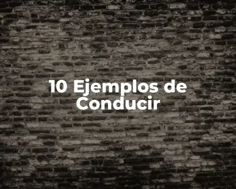10 Ejemplos de Conducir