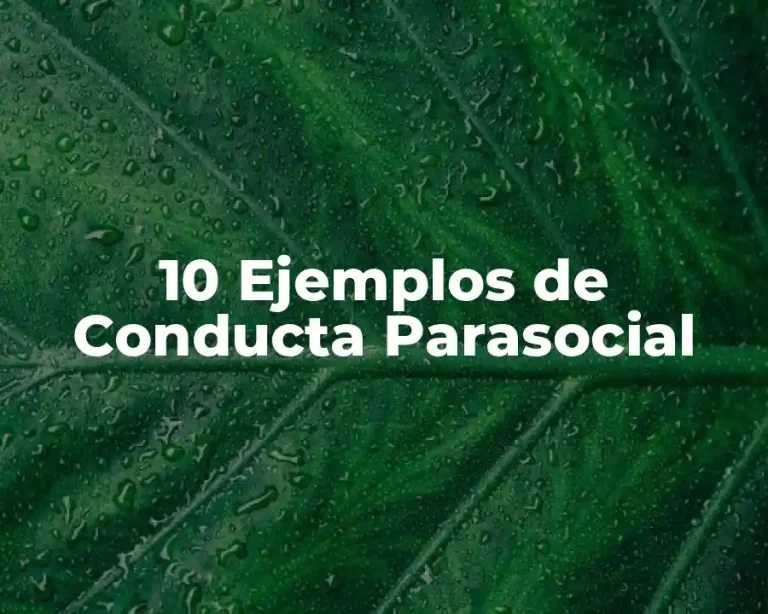 10 Ejemplos de Conducta Parasocial