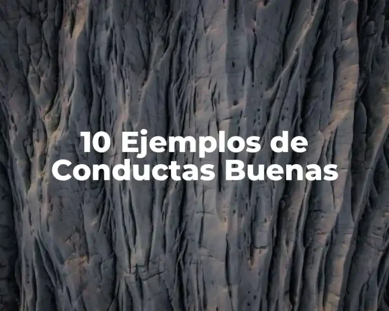 10 Ejemplos de Conductas Buenas