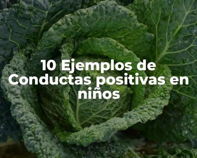 10 Ejemplos de Conductas positivas en niños