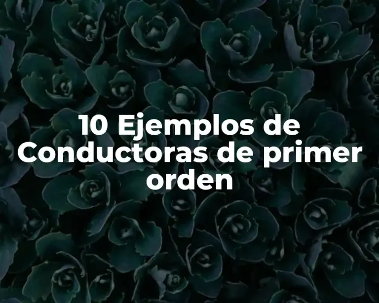 10 Ejemplos de Conductoras de primer orden