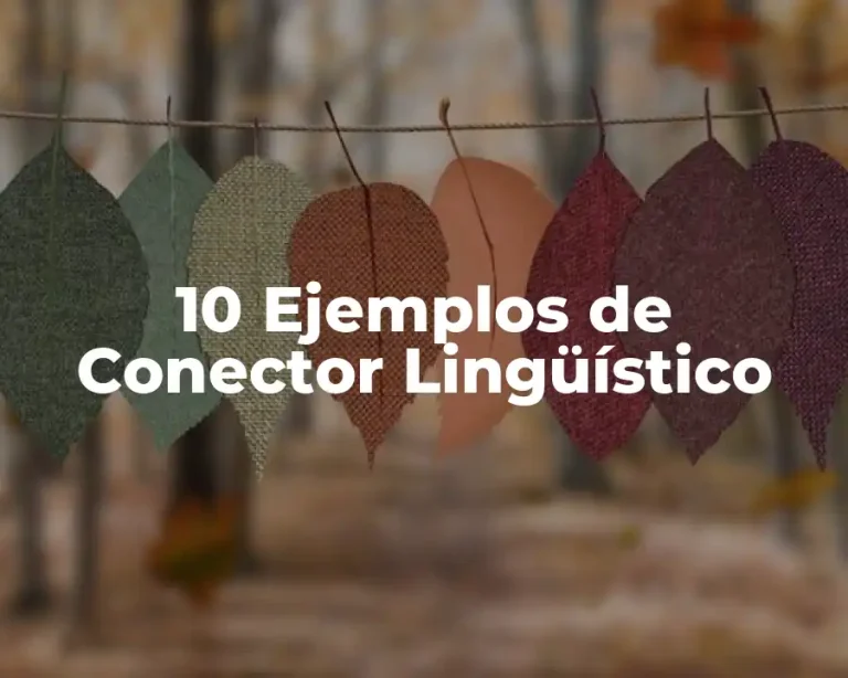 10 Ejemplos de Conector Lingüístico