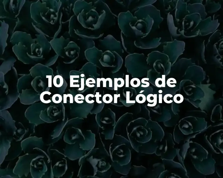 10 Ejemplos de Conector Lógico