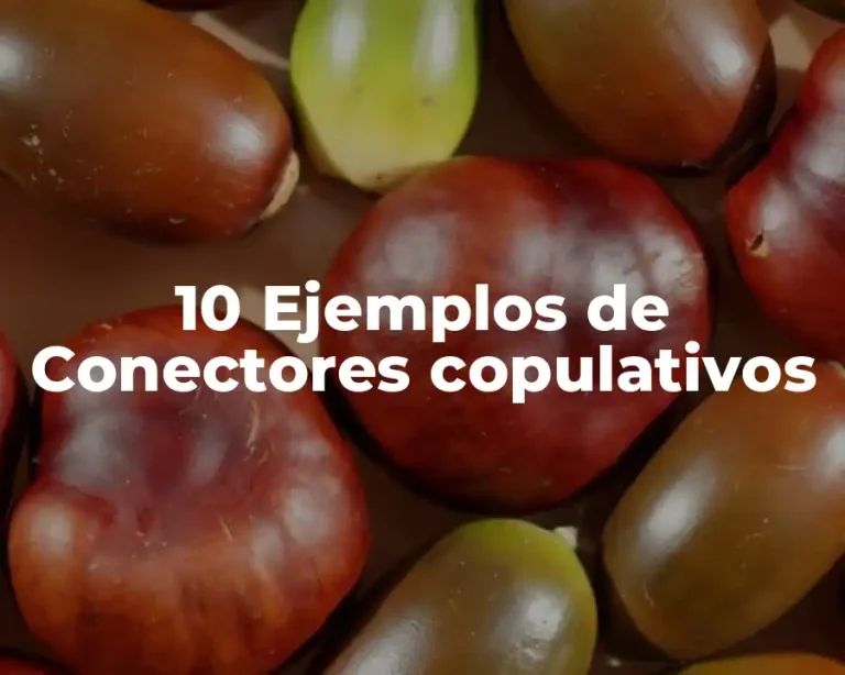 10 Ejemplos de Conectores copulativos
