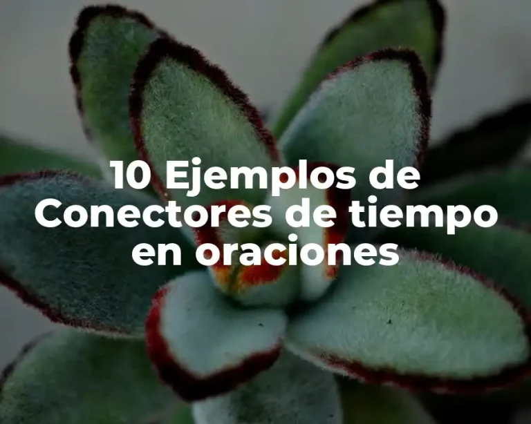 10 Ejemplos de Conectores de tiempo en oraciones