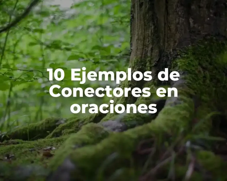 10 Ejemplos de Conectores en oraciones