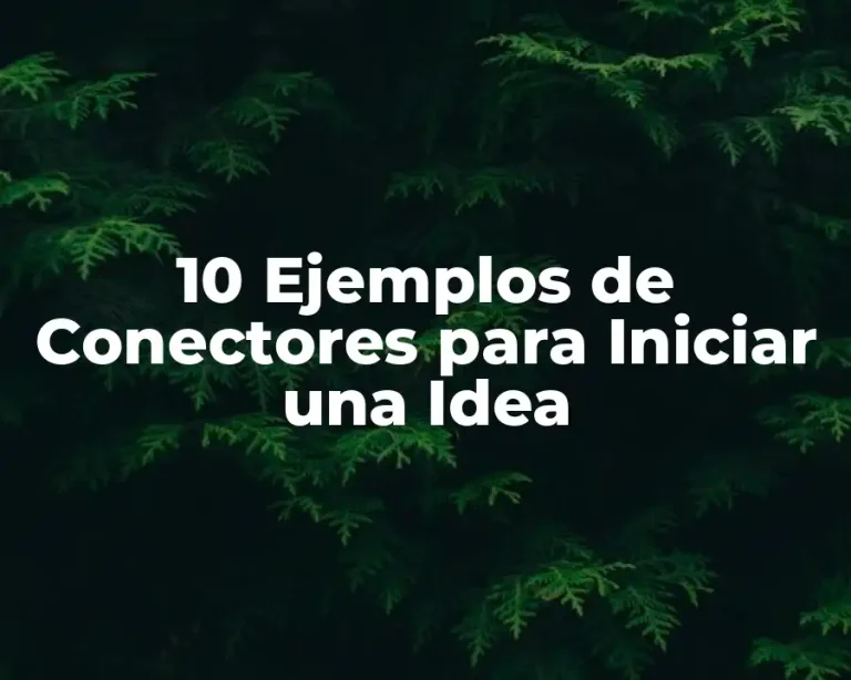 10 Ejemplos de Conectores para Iniciar una Idea