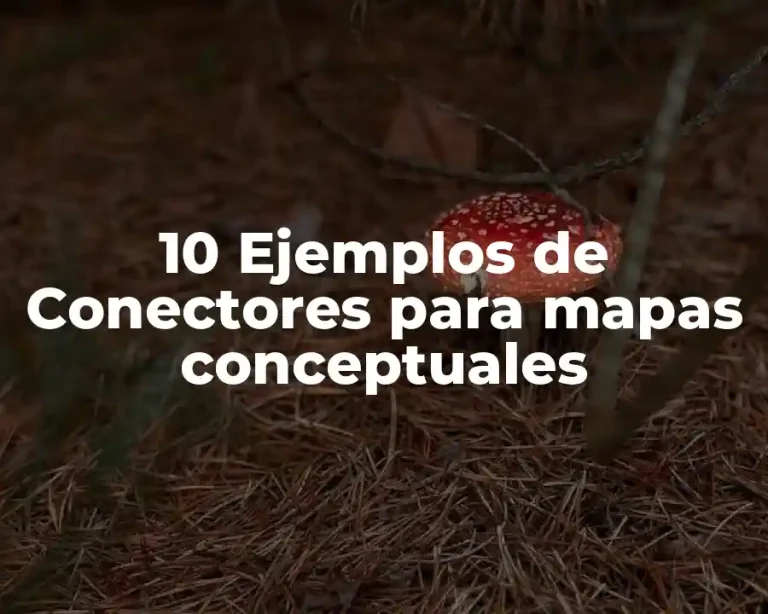 10 Ejemplos de Conectores para mapas conceptuales