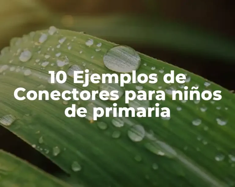 10 Ejemplos de Conectores para niños de primaria