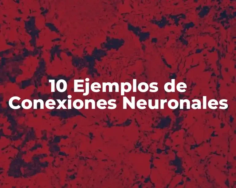 10 Ejemplos de Conexiones Neuronales