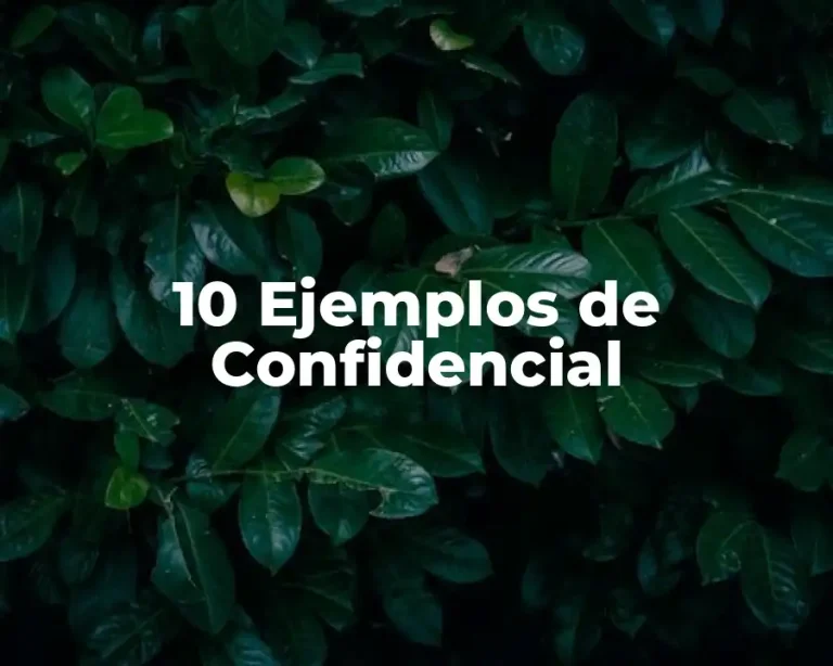 10 Ejemplos de Confidencial