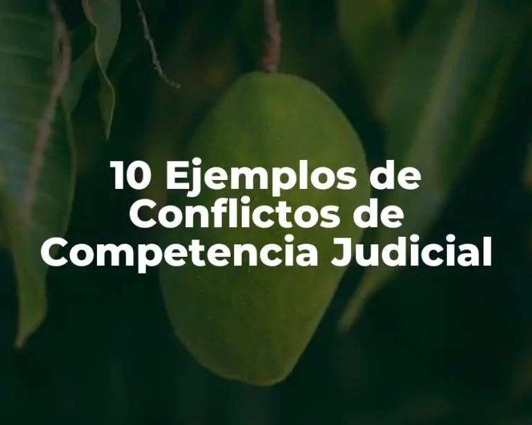10 Ejemplos de Conflictos de Competencia Judicial