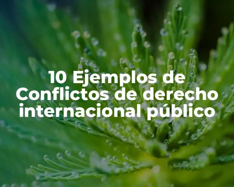 10 Ejemplos de Conflictos de derecho internacional público