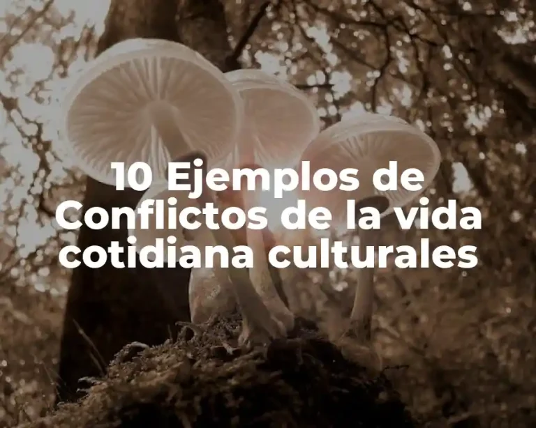 10 Ejemplos de Conflictos de la vida cotidiana culturales