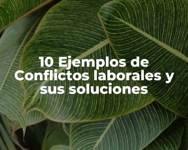 10 Ejemplos de Conflictos laborales y sus soluciones