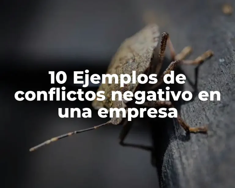 10 Ejemplos de conflictos negativo en una empresa