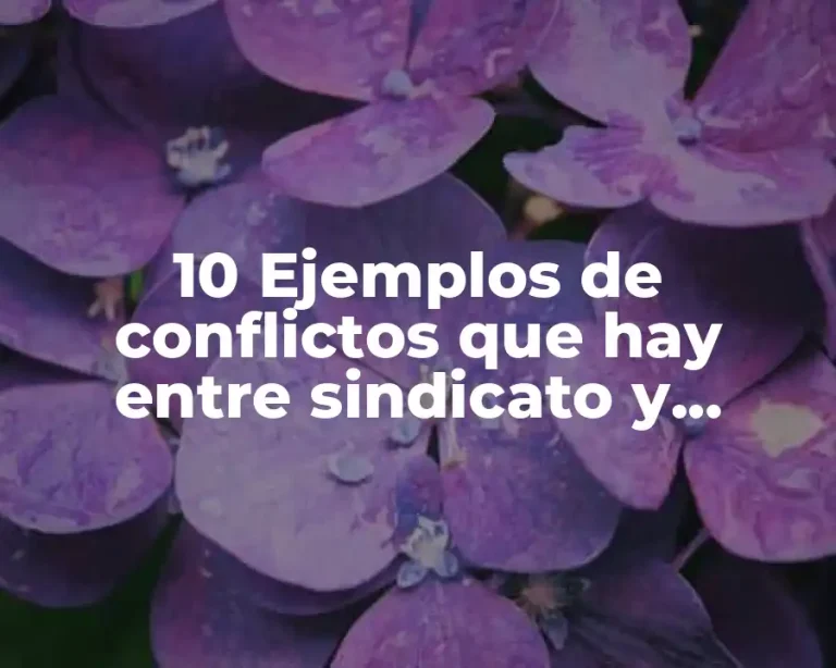 10 Ejemplos de conflictos que hay entre sindicato y empresa