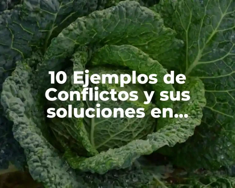 10 Ejemplos de Conflictos y sus soluciones en hospitales