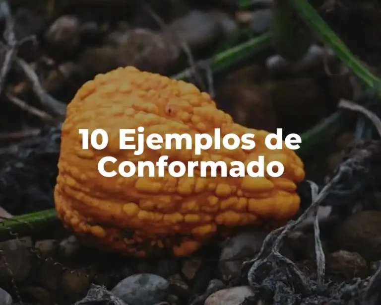 10 Ejemplos de Conformado