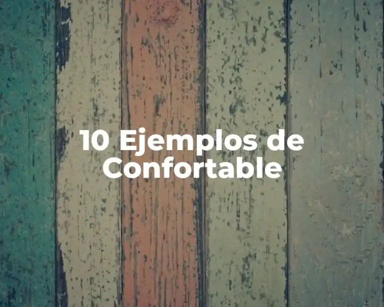 10 Ejemplos de Confortable