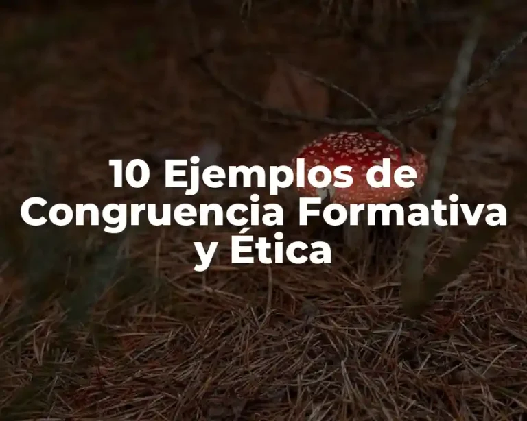 10 Ejemplos de Congruencia Formativa y Ética