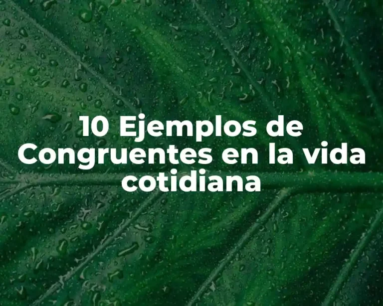 10 Ejemplos de Congruentes en la vida cotidiana