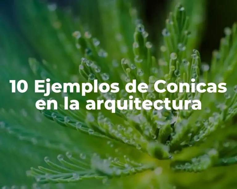 10 Ejemplos de Conicas en la arquitectura