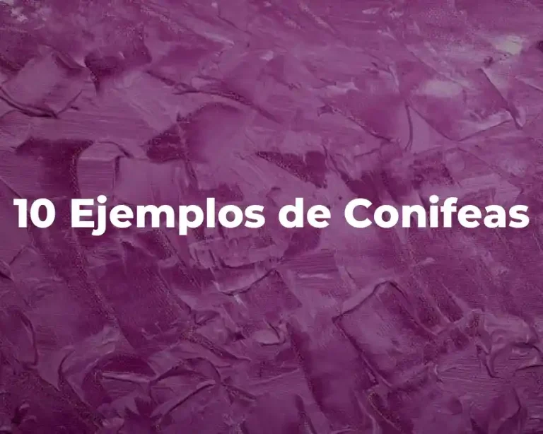 10 Ejemplos de Conifeas