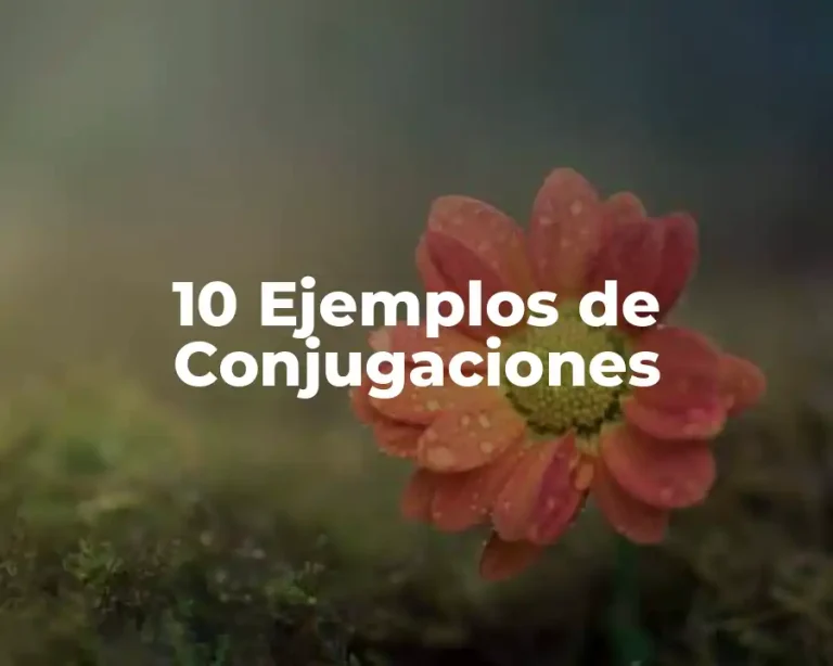 10 Ejemplos de Conjugaciones