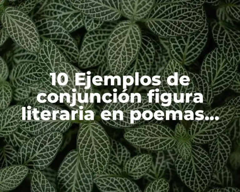 10 Ejemplos de conjunción figura literaria en poemas, Definición, Diferencias y para que sirve