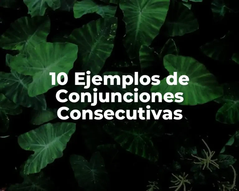 10 Ejemplos de Conjunciones Consecutivas