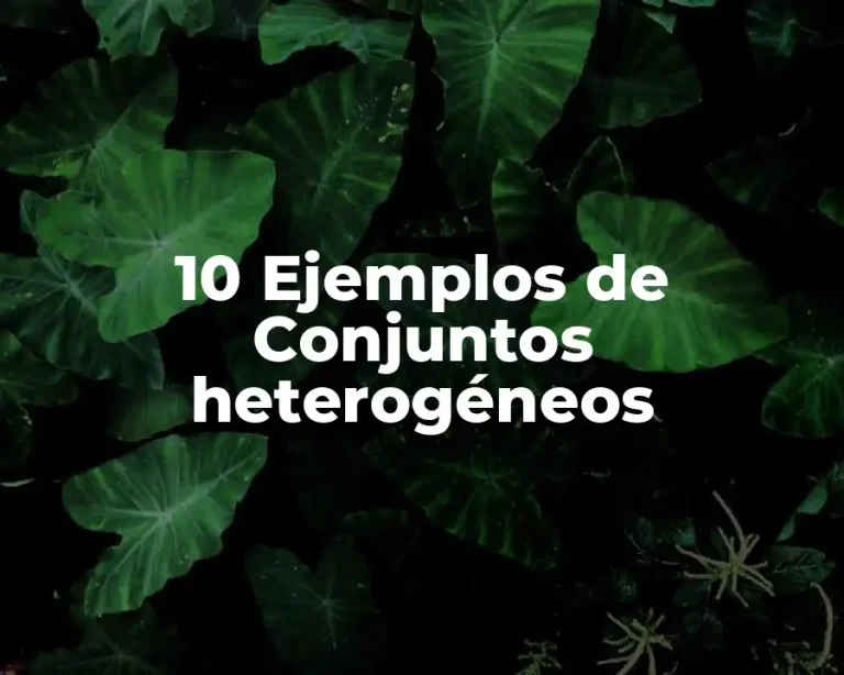 10 Ejemplos de Conjuntos heterogéneos