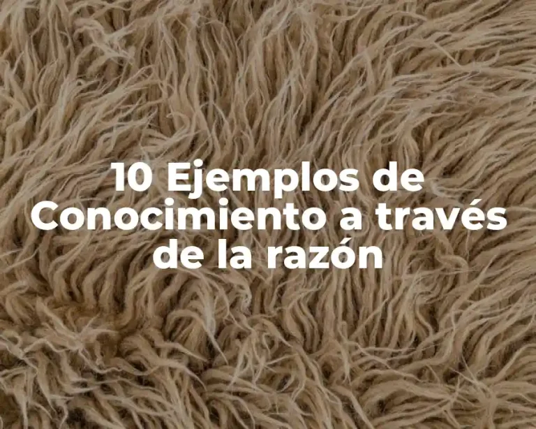 10 Ejemplos de Conocimiento a través de la razón