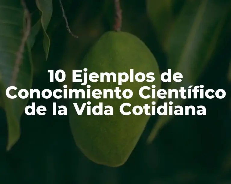 10 Ejemplos de Conocimiento Científico de la Vida Cotidiana