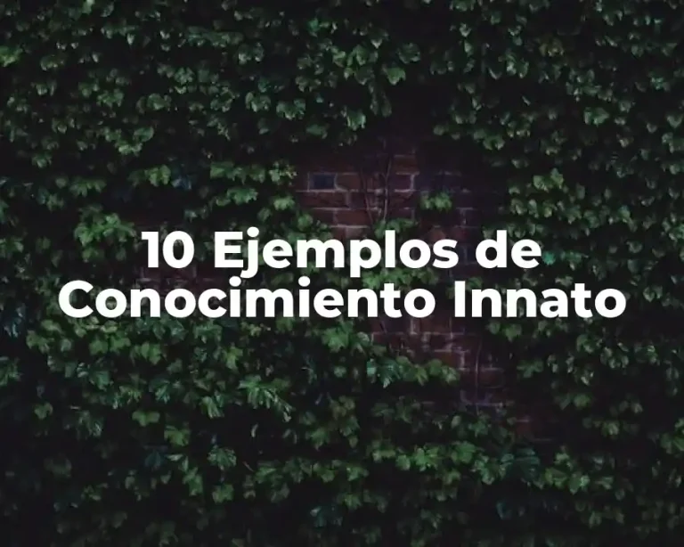 10 Ejemplos de Conocimiento Innato