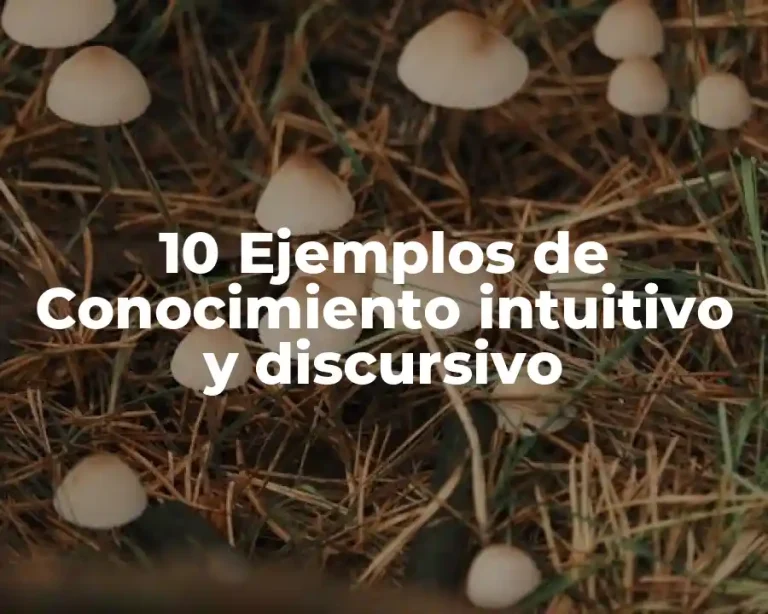 10 Ejemplos de Conocimiento intuitivo y discursivo