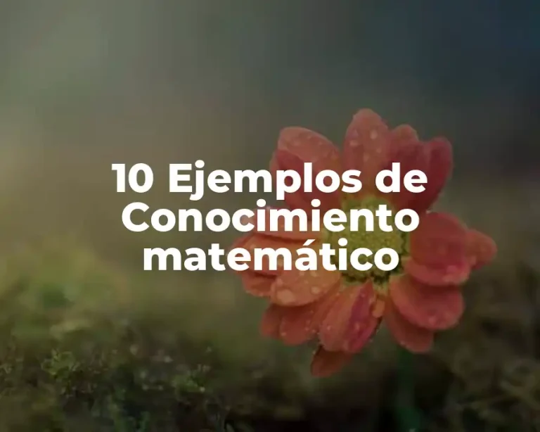 10 Ejemplos de Conocimiento matemático