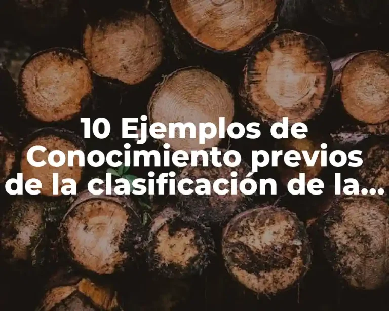 10 Ejemplos de Conocimiento previos de la clasificación de la estadística