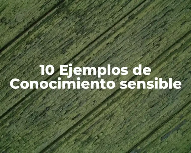10 Ejemplos de Conocimiento sensible