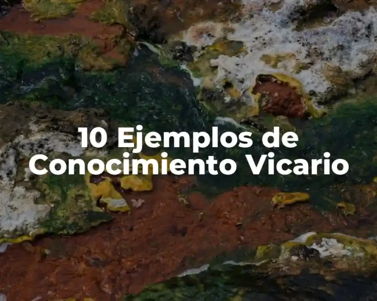10 Ejemplos de Conocimiento Vicario