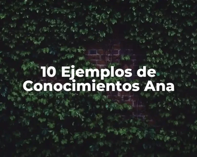 10 Ejemplos de Conocimientos Ana