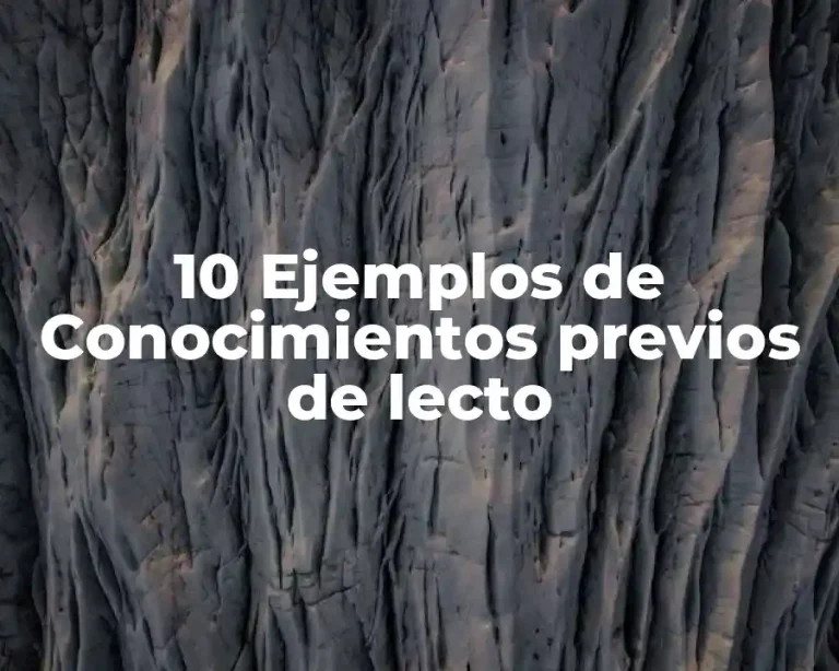 10 Ejemplos de Conocimientos previos de lecto