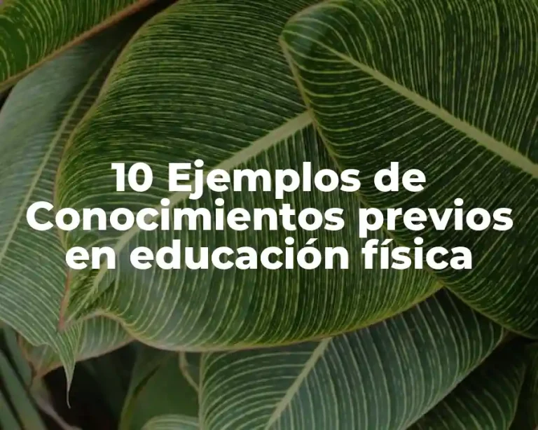 10 Ejemplos de Conocimientos previos en educación física